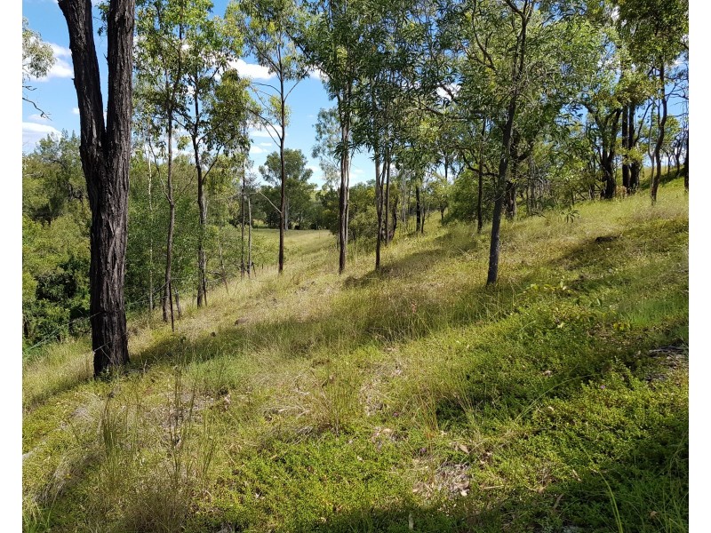 386 Delleys Rd, Dallarnil QLD 4621