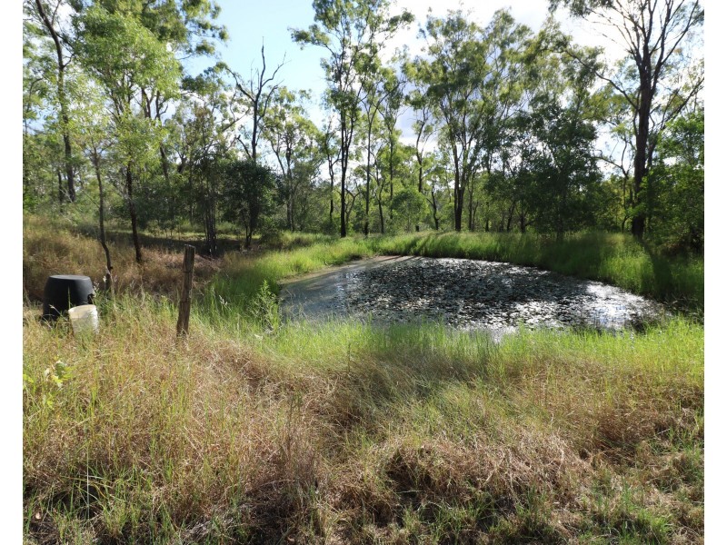 18-20 Emmitt Ct, Apple Tree Creek QLD 4660