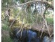 25 Booyal Dallarnil Rd, Booyal QLD 4671