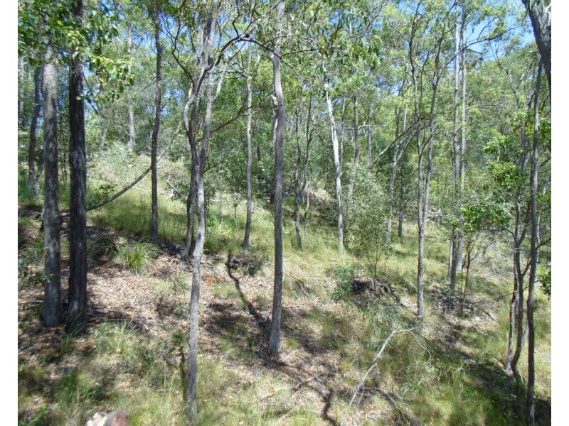 56 Chappell Hills Rd, South Isis QLD 4660