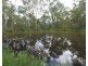 27 Prosser Rd, Apple Tree Creek QLD 4660