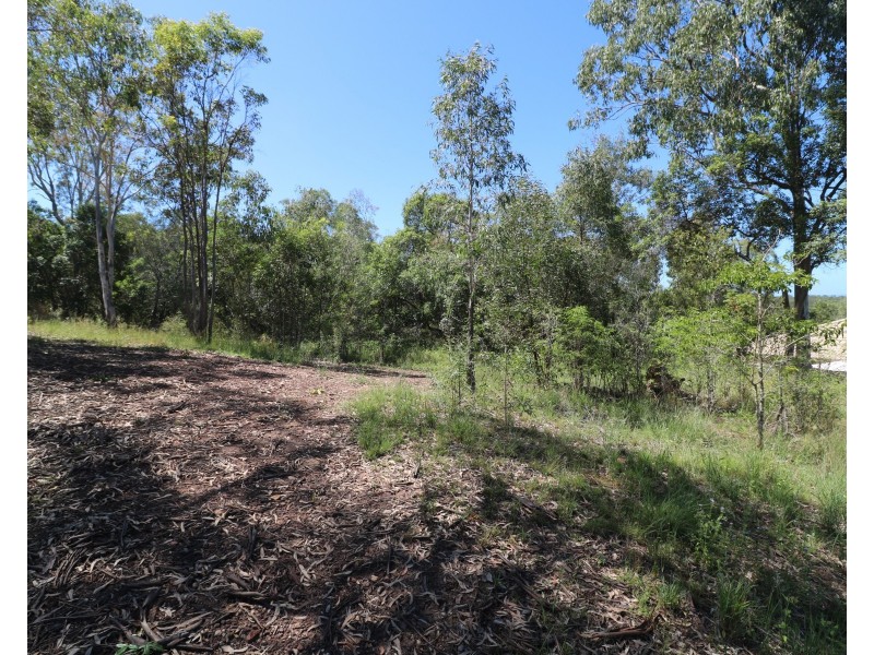 8 Sanctuary Ct, Apple Tree Creek QLD 4660