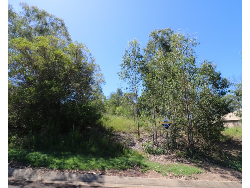 8 Sanctuary Ct, Apple Tree Creek QLD 4660