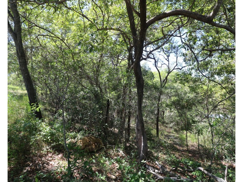 8 Sanctuary Ct, Apple Tree Creek QLD 4660