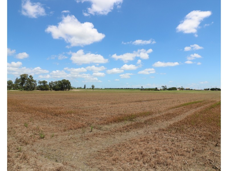 4448 Goodwood Rd, Alloway QLD 4670