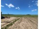4448 Goodwood Rd, Alloway QLD 4670