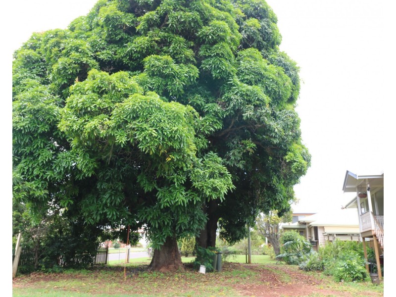 20 Broadhurst St, Childers QLD 4660