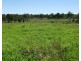 7007 Isis Hwy, Eureka QLD 4660
