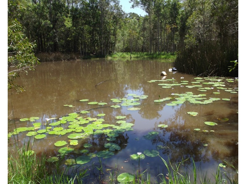 7007 Isis Hwy, Eureka QLD 4660