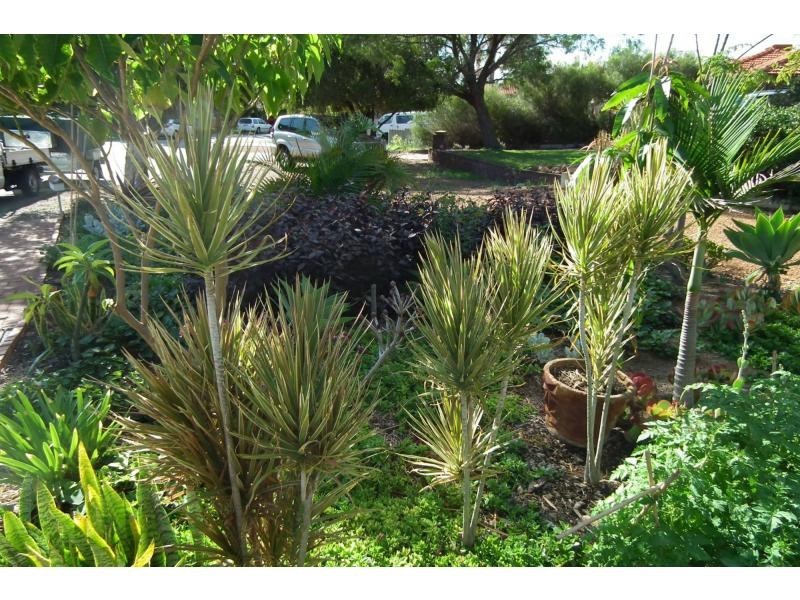 17 Bacon Place, Beechboro WA 6063