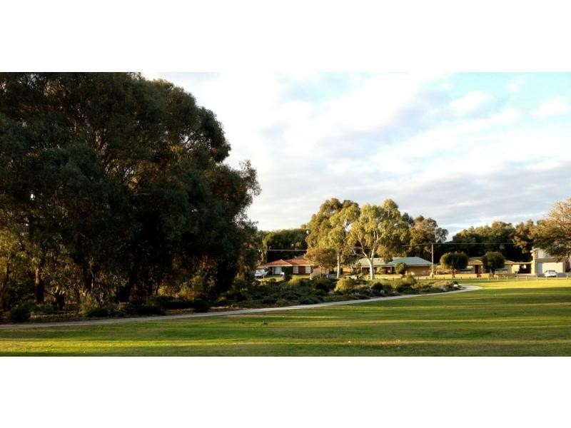 56 Wyatt Road, Bayswater WA 6053