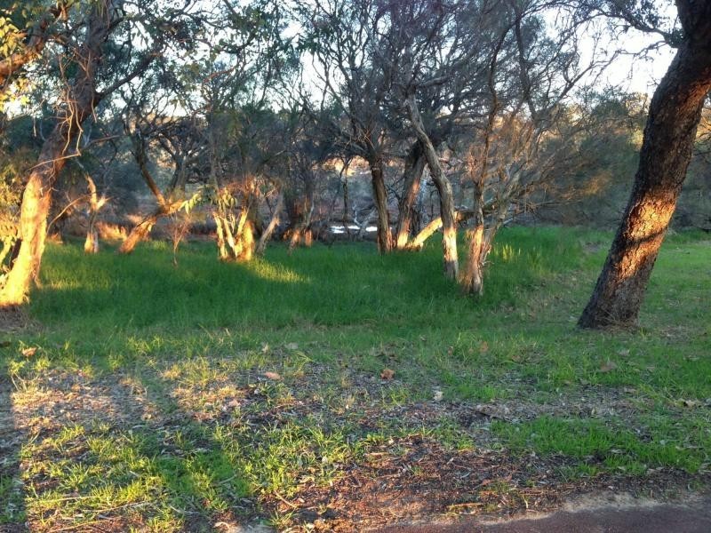 56 Wyatt Road, Bayswater WA 6053