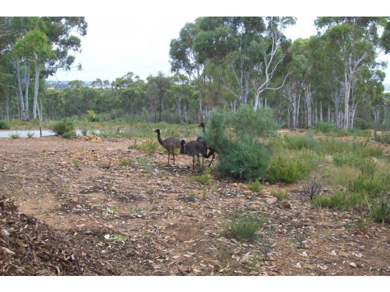 L34 Searle Street, Clackline WA 6564