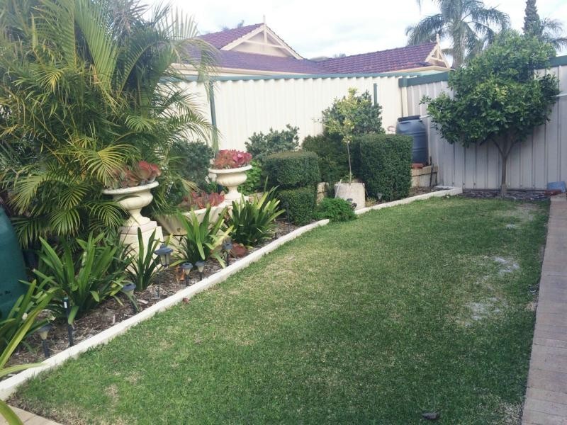 19 Hydrangea Place, Alexander Heights WA 6064