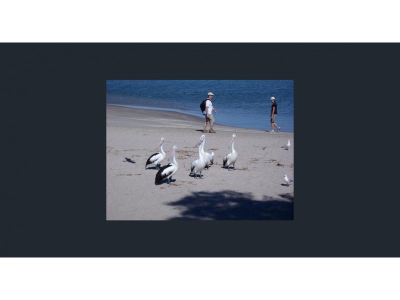 10 Seakist Retreat, Kalbarri WA 6536