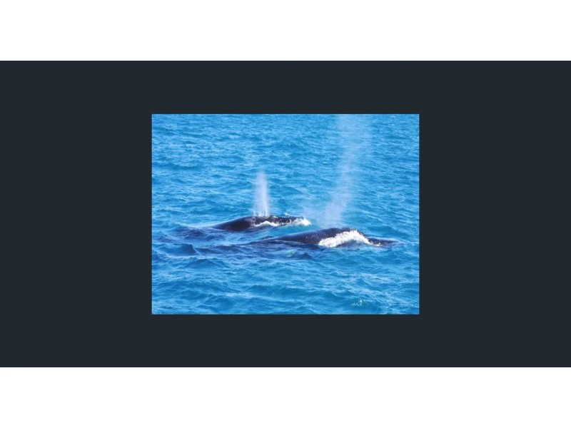 10 Seakist Retreat, Kalbarri WA 6536