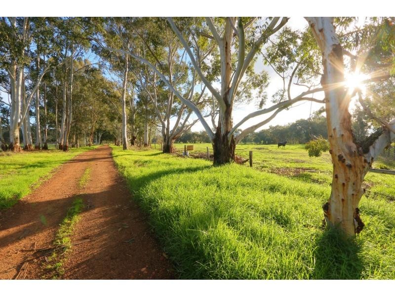 330 Paterson Road, Pinjarra WA 6208