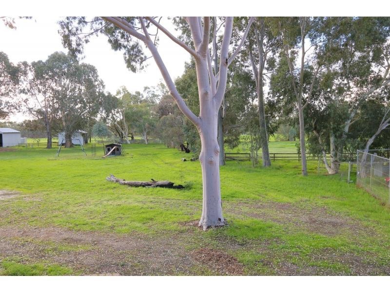 330 Paterson Road, Pinjarra WA 6208