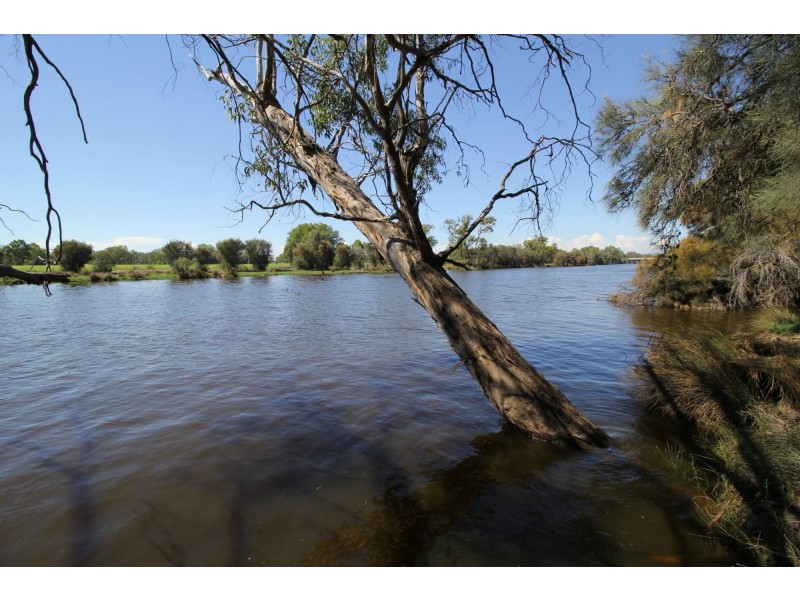 36 Victoria Street, Guildford WA 6055