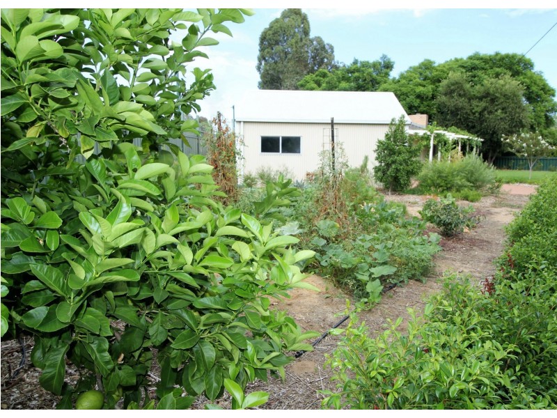 47 Swan Street, Guildford WA 6055