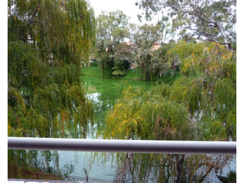 180/12 Wall Street, Maylands WA 6051