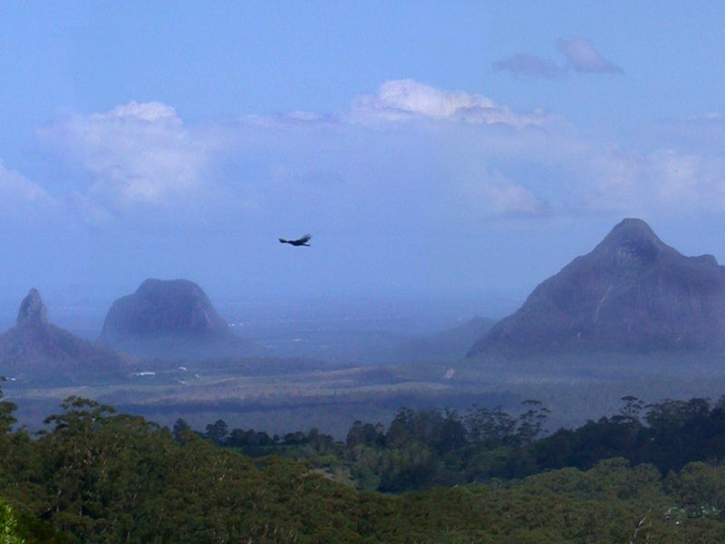 1240 Stanley River Road, Maleny QLD 4552