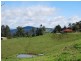 55 Curramore Road, Maleny QLD 4552