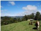 55 Curramore Road, Maleny QLD 4552