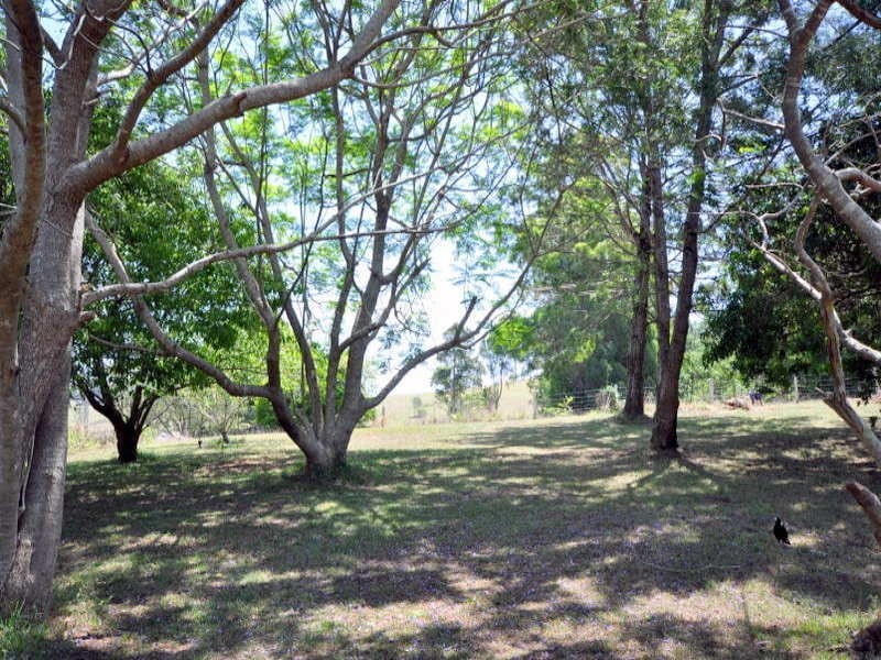 156 Teutoberg Avenue, Maleny QLD 4552