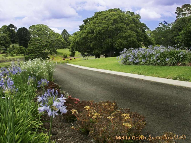 115 Burgum Road, Maleny QLD 4552
