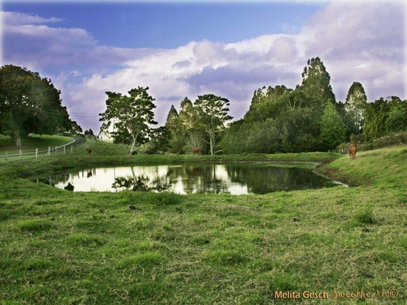115 Burgum Road, Maleny QLD 4552