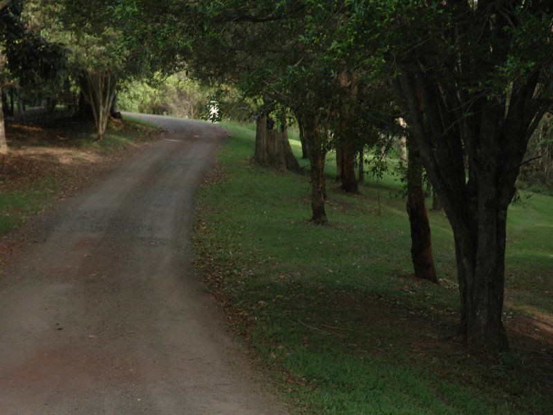 Maleny QLD 4552