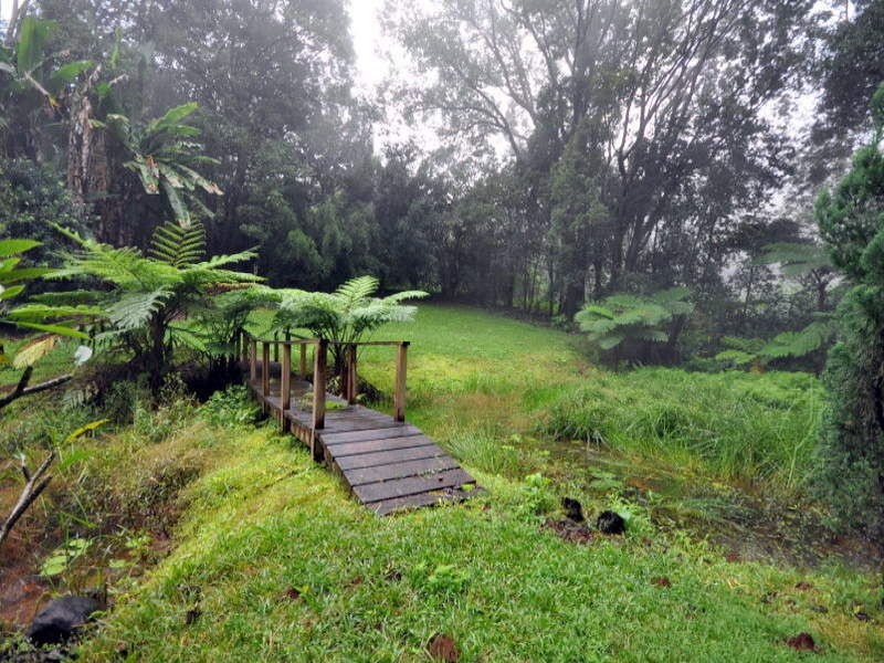 43 Western Avenue, Montville QLD 4560