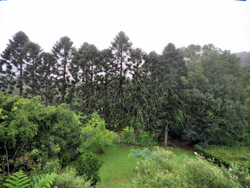 43 Western Avenue, Montville QLD 4560