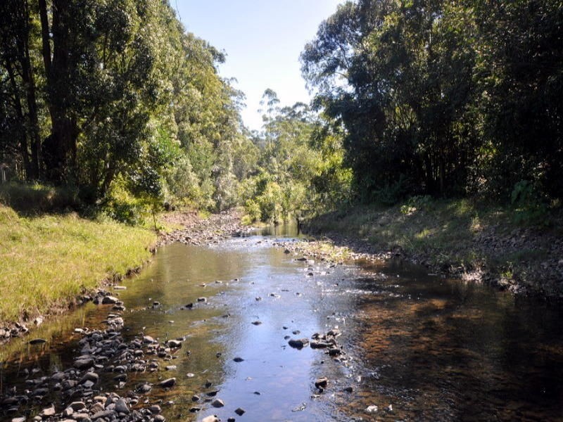 Maleny QLD 4552