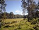 Maleny QLD 4552