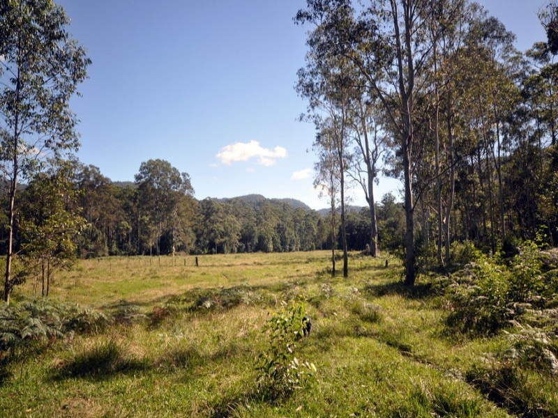 Maleny QLD 4552
