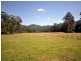 Maleny QLD 4552