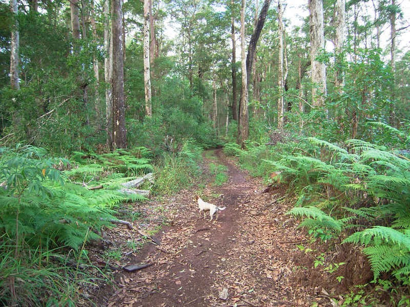 44 Thorne Road, Maleny QLD 4552