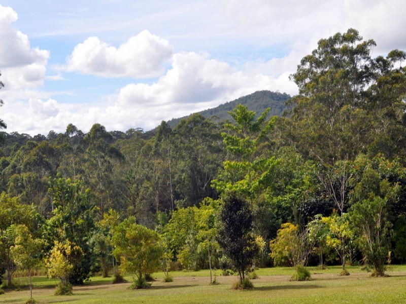 146 Storrs Rd  Peachester Street, Peachester QLD 4519