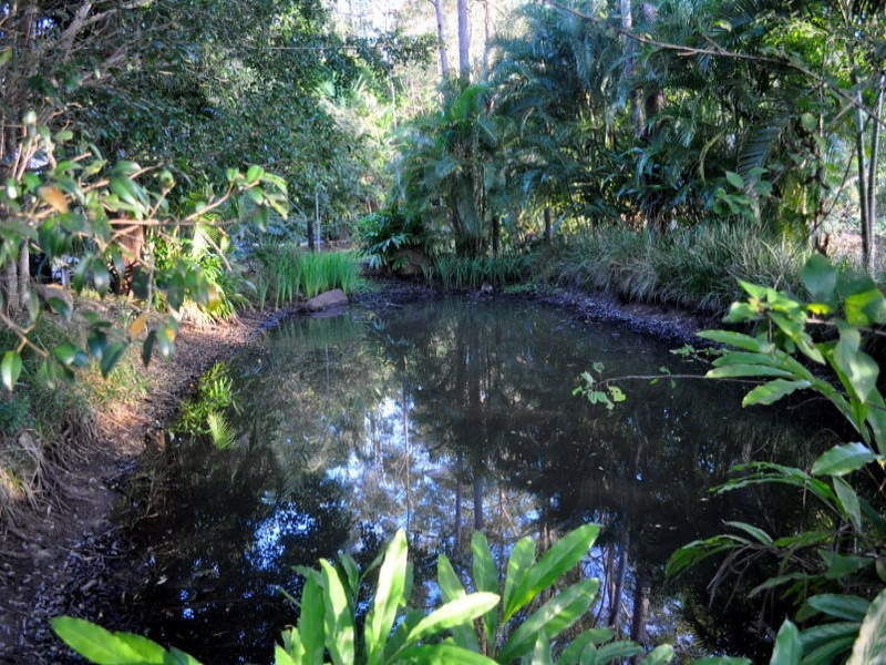 8 Kenny Court, Landsborough QLD 4550