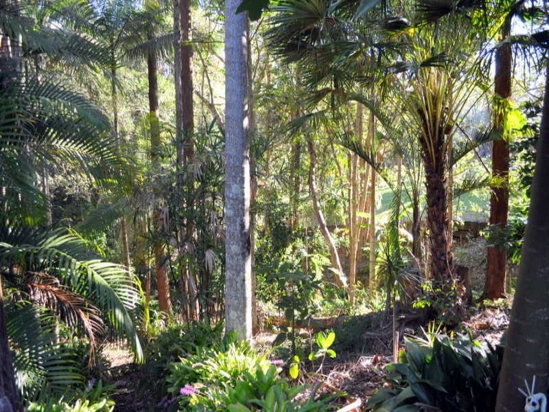 8 Kenny Court, Landsborough QLD 4550