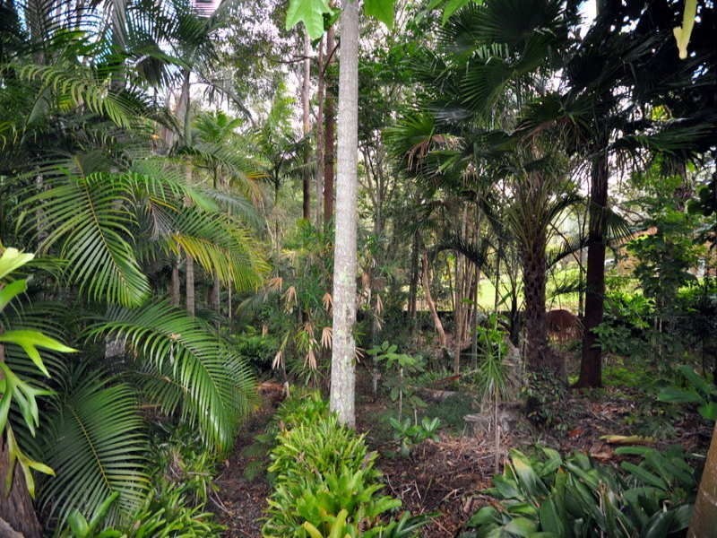 8 Kenny Court  LANDSBROUGH Street, Landsborough QLD 4550