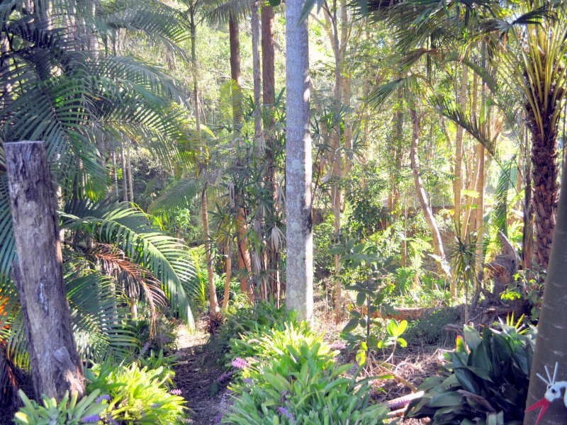 8 Kenny Court  LANDSBROUGH Street, Landsborough QLD 4550