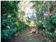 Maleny QLD 4552