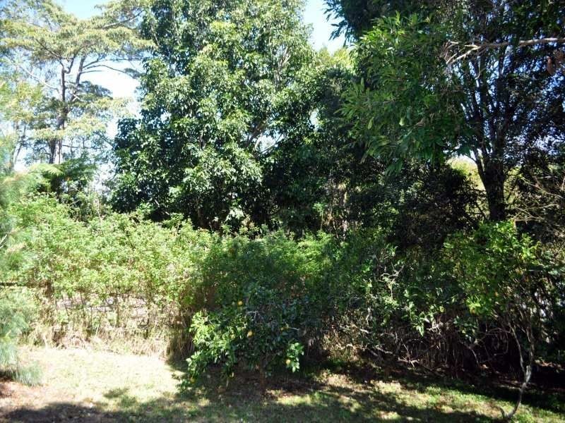 16 ASH Street, Maleny QLD 4552