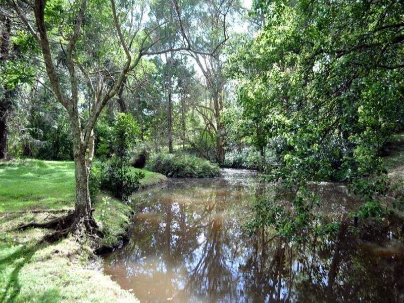 Maleny QLD 4552
