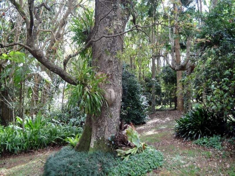Maleny QLD 4552