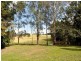 Maleny QLD 4552