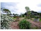 Maleny QLD 4552